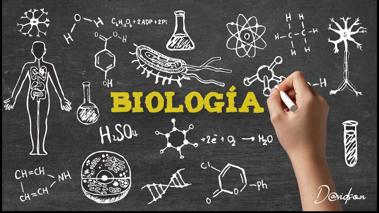 CIENCIAS